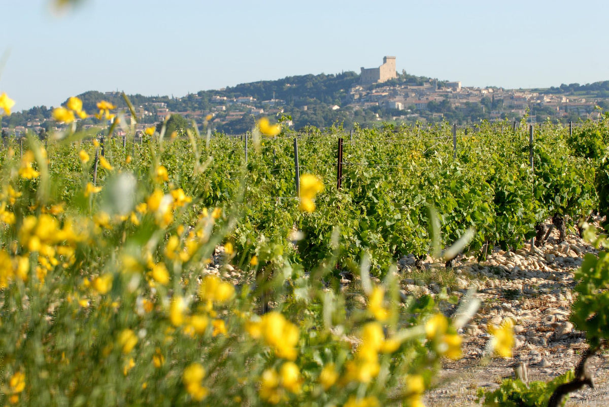 domaine-du-vieux-lazaret-famille-quiot