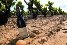 Charger l'image dans la galerie, Domaine Duclaux, Rouge, 2020
