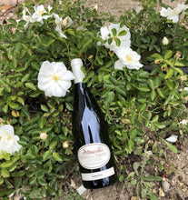 Charger l'image dans la galerie, Château du Trignon, Marsanne, 2023
